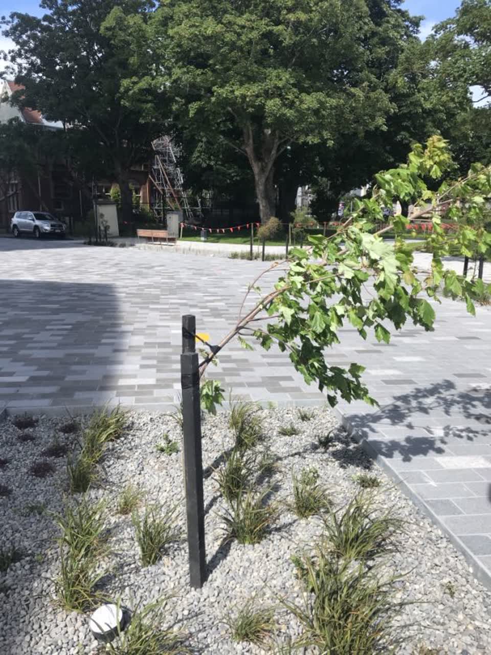 The photograph attached to this parks report