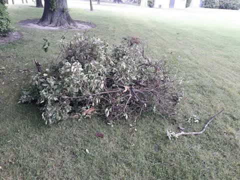 Parks, a report photo