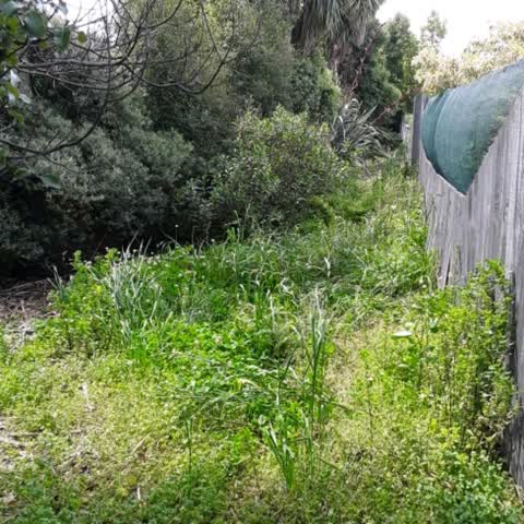 Parks, a report photo