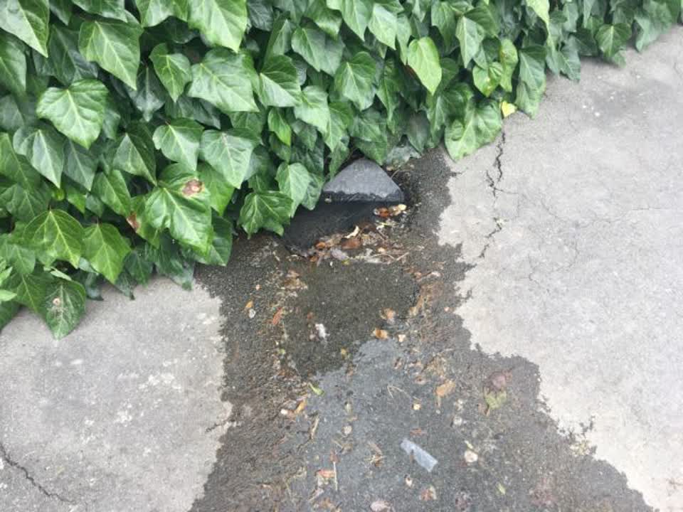 The photograph attached to this water supply report