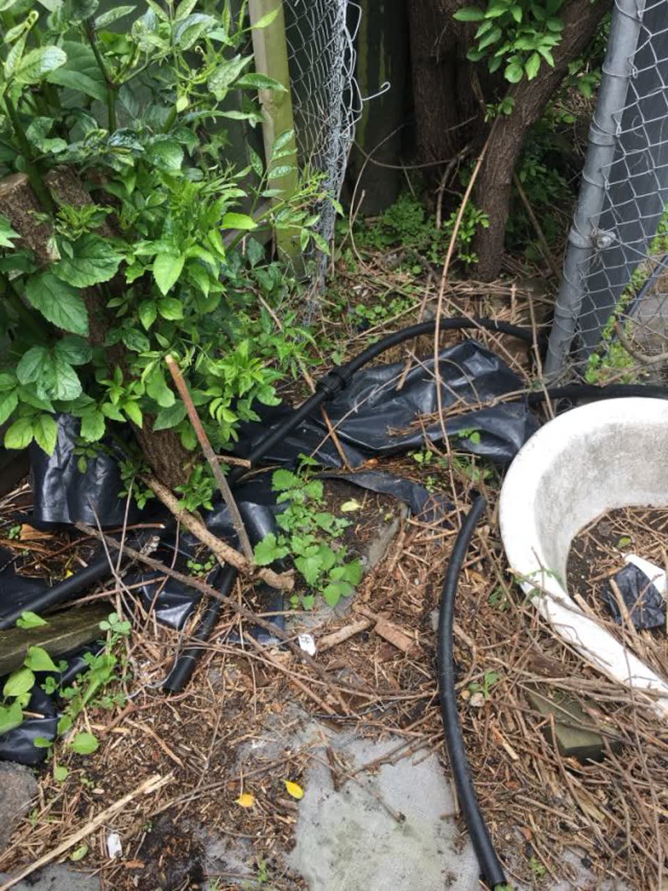 The photograph attached to this wastewater/stormwater report
