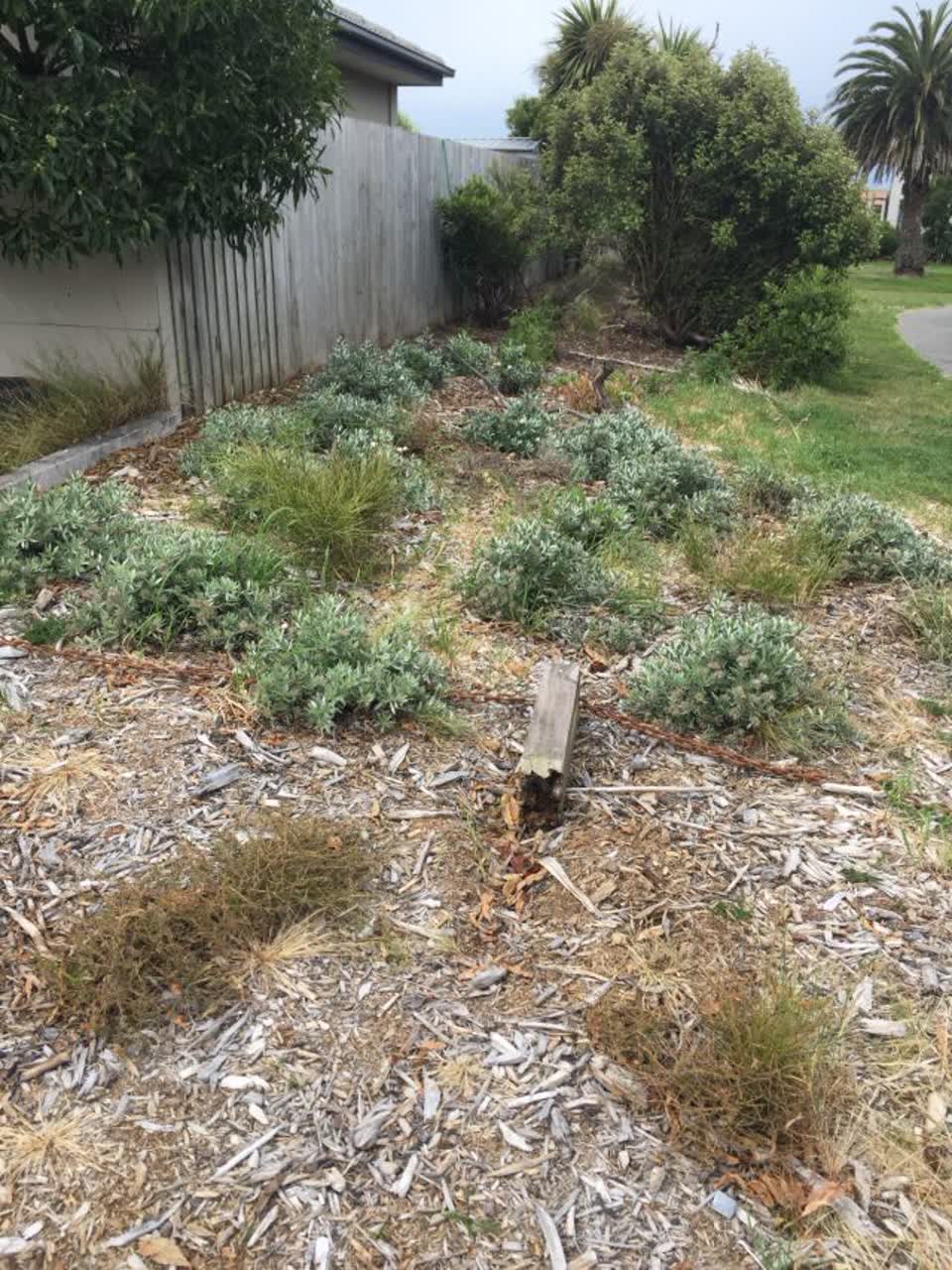 The photograph attached to this parks report