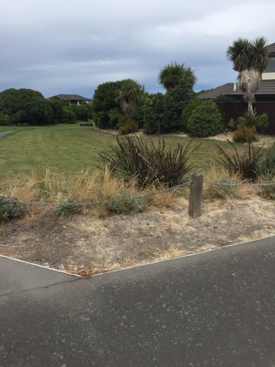 The photograph attached to this parks report