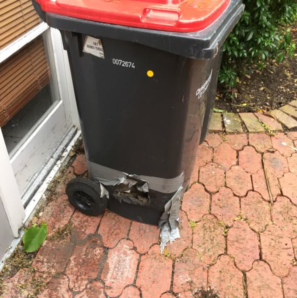 The photograph attached to this rubbish/recycling report