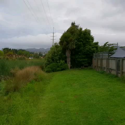 Parks, a report photo