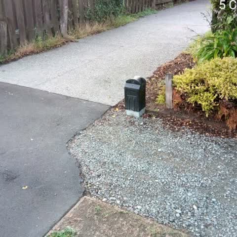 Roading/Streets, a report photo