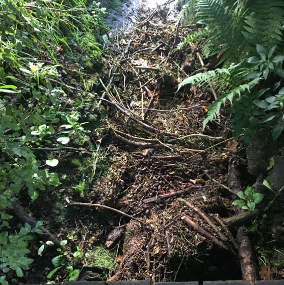 The photograph attached to this wastewater/stormwater report