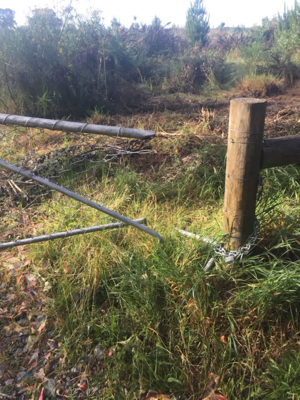 The photograph attached to this parks report