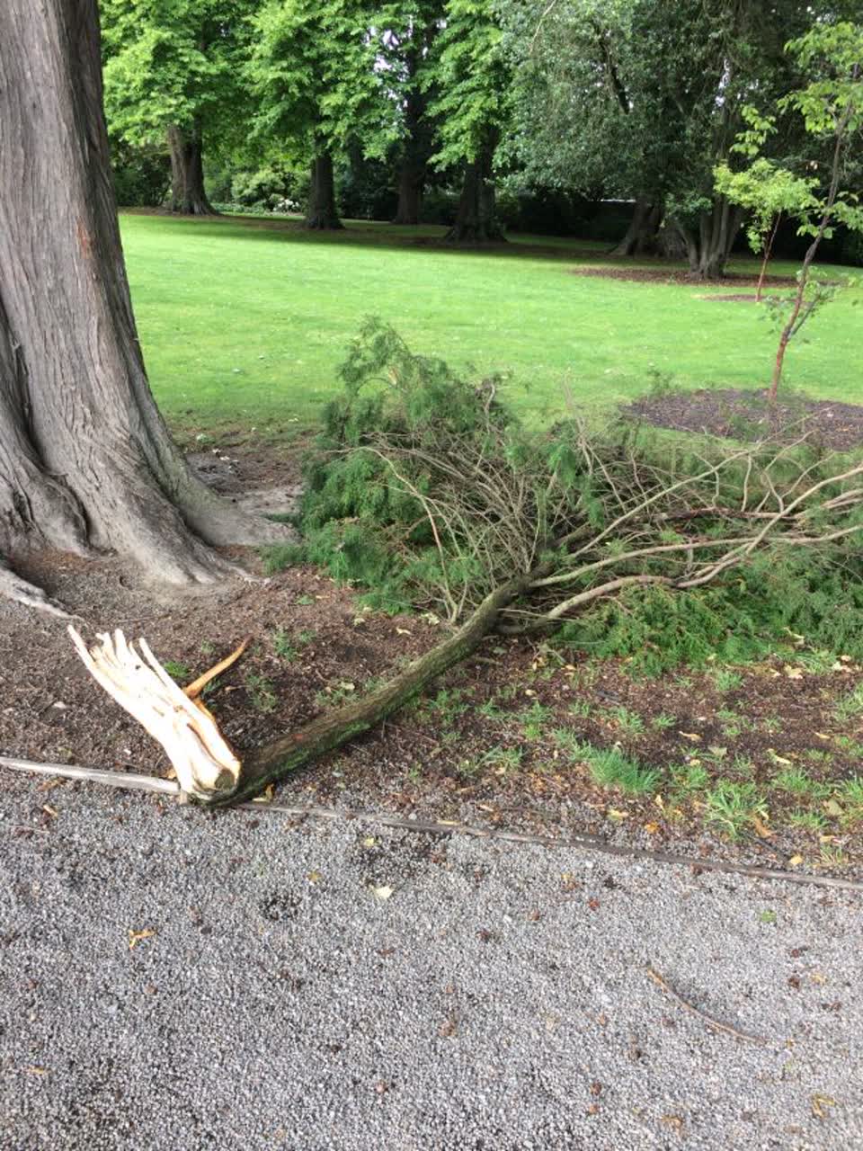 The photograph attached to this parks report