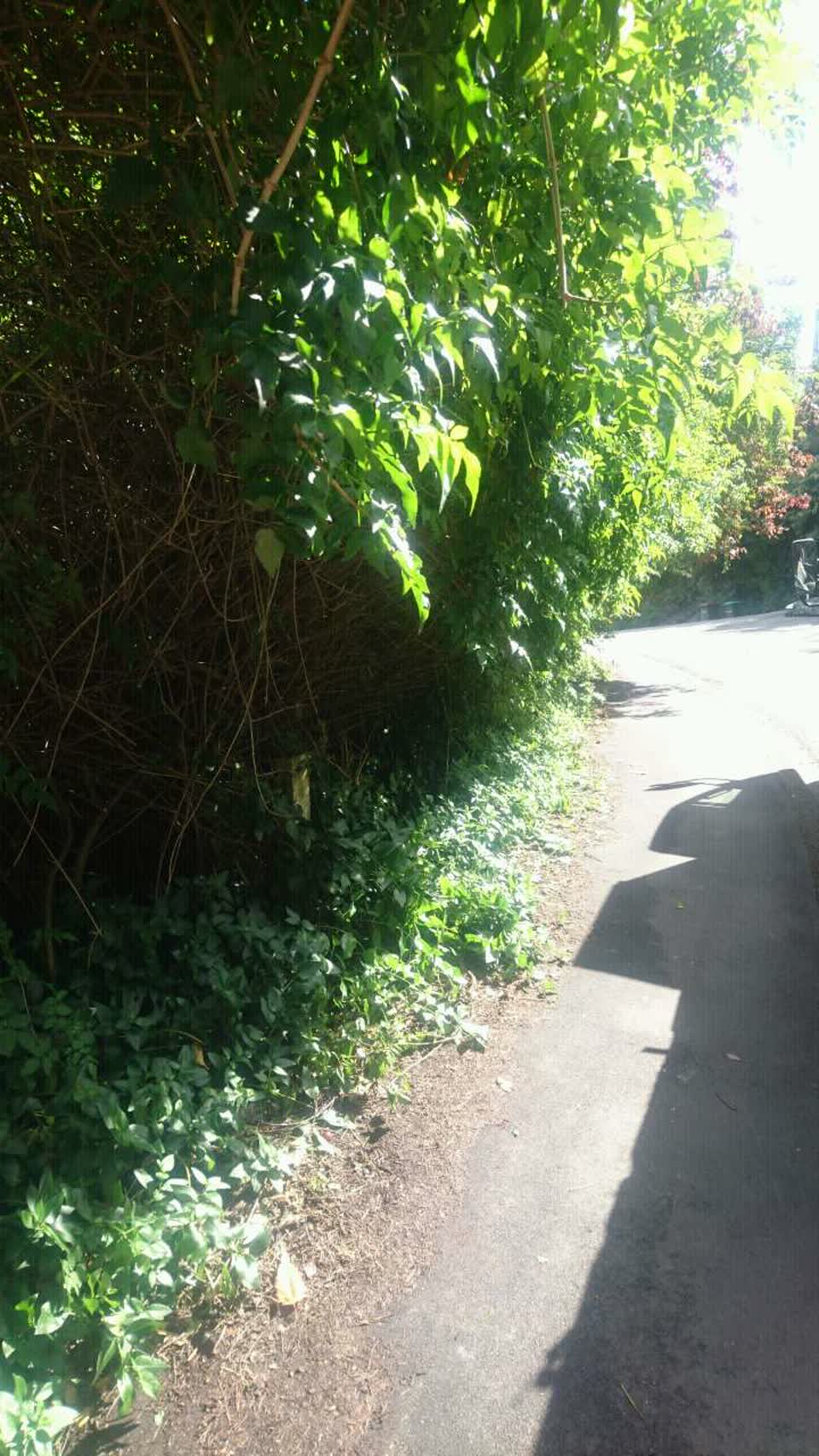 The photograph attached to this roading/streets report