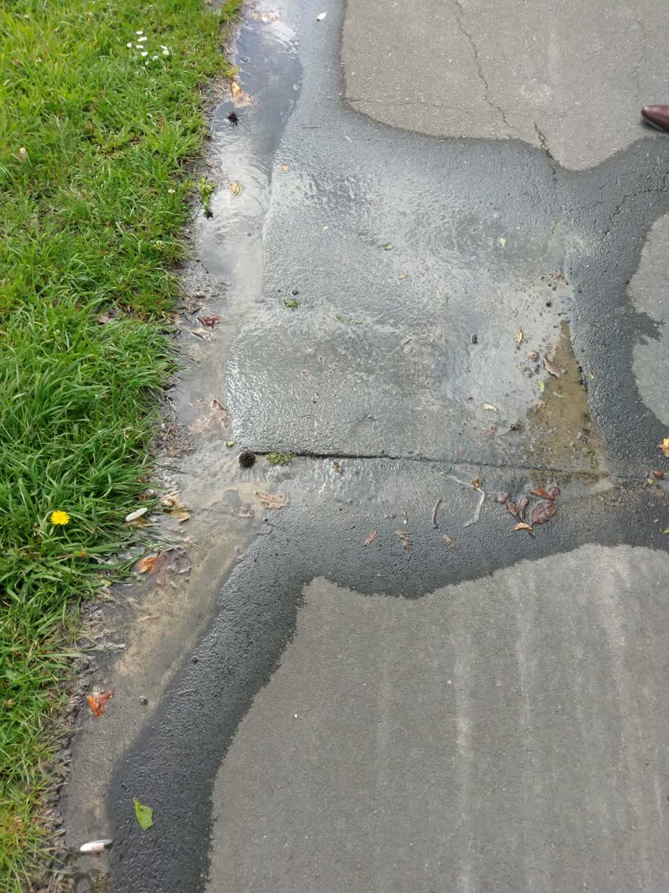 The photograph attached to this water supply report