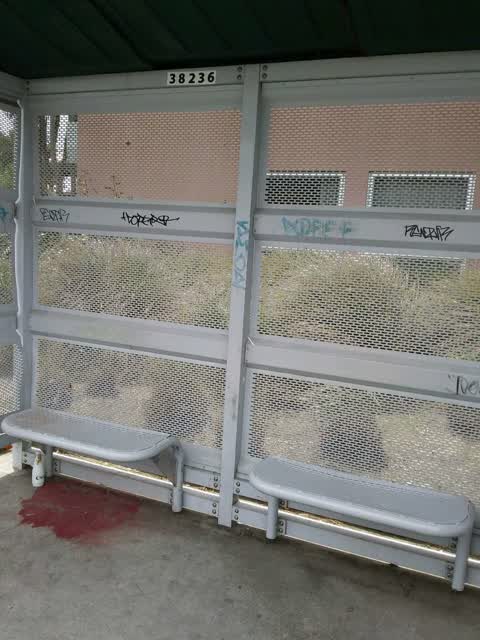 Graffiti, a report photo