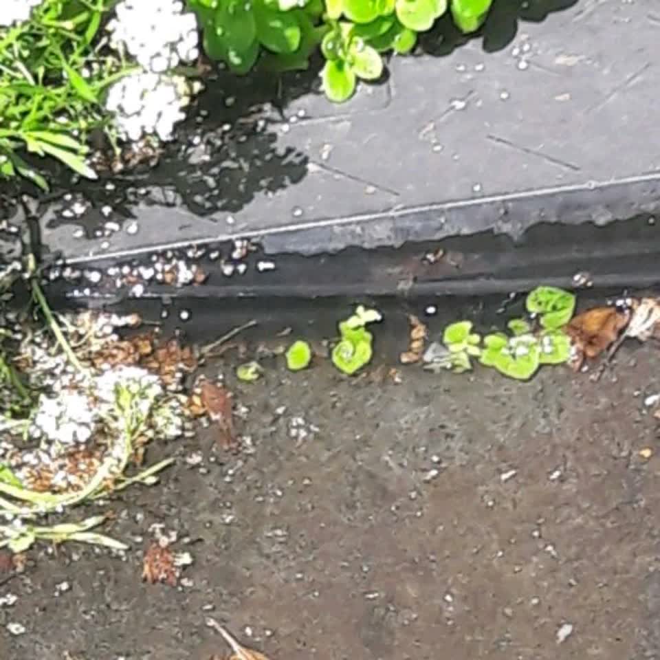 The photograph attached to this water supply report