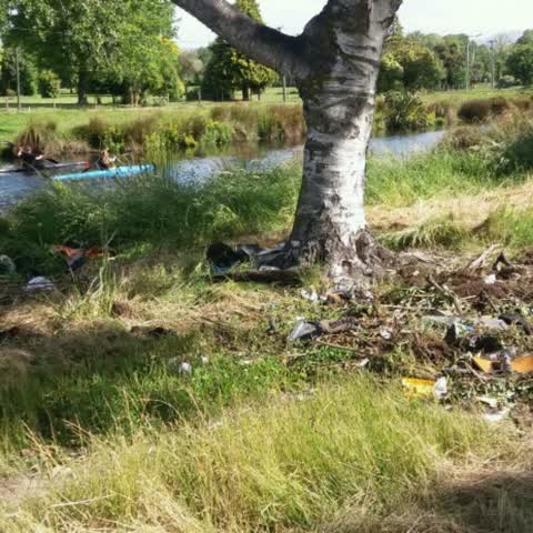 Rubbish/Recycling — a report photo