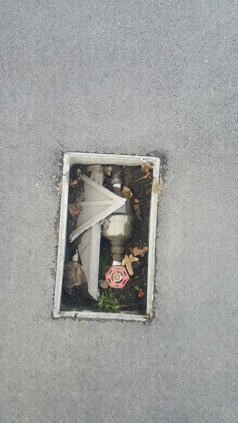The photograph attached to this water supply report