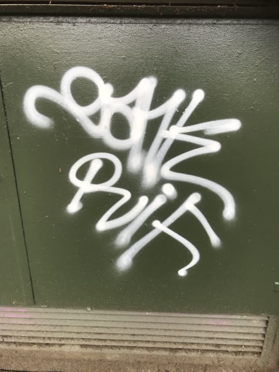 The photograph attached to this graffiti report