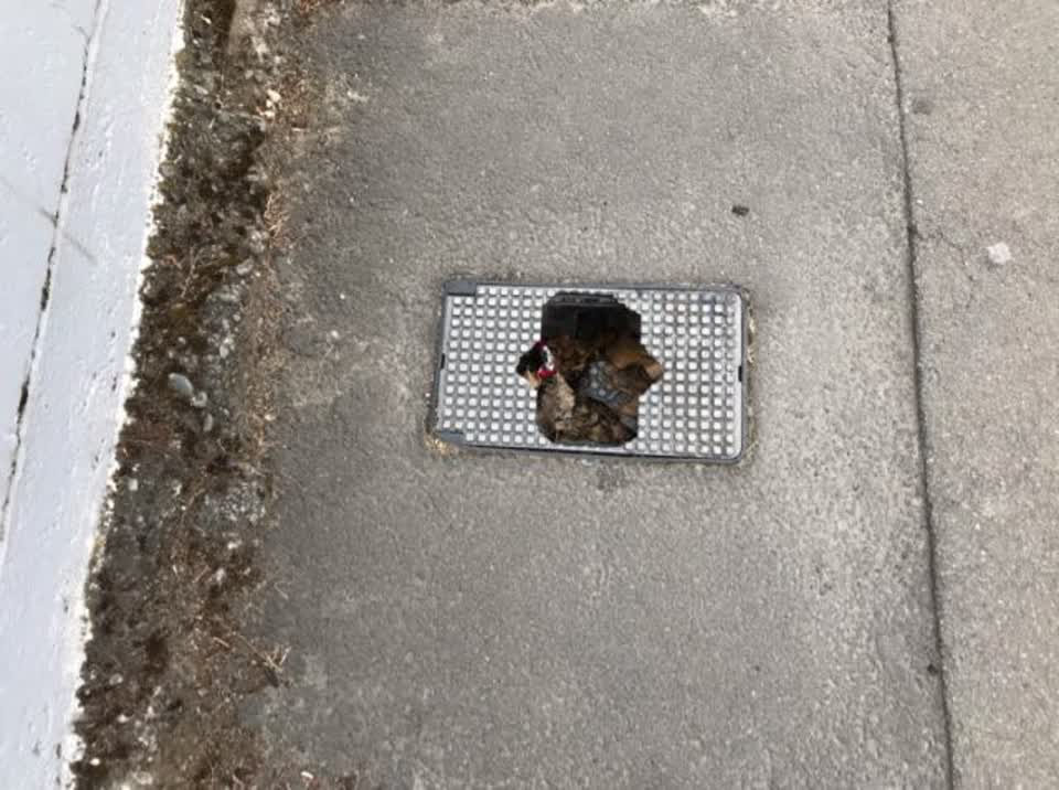 The photograph attached to this roading/streets report