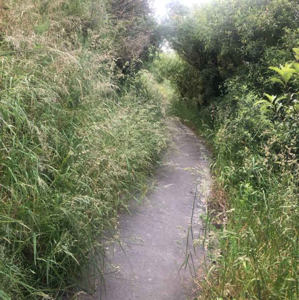 The photograph attached to this parks report