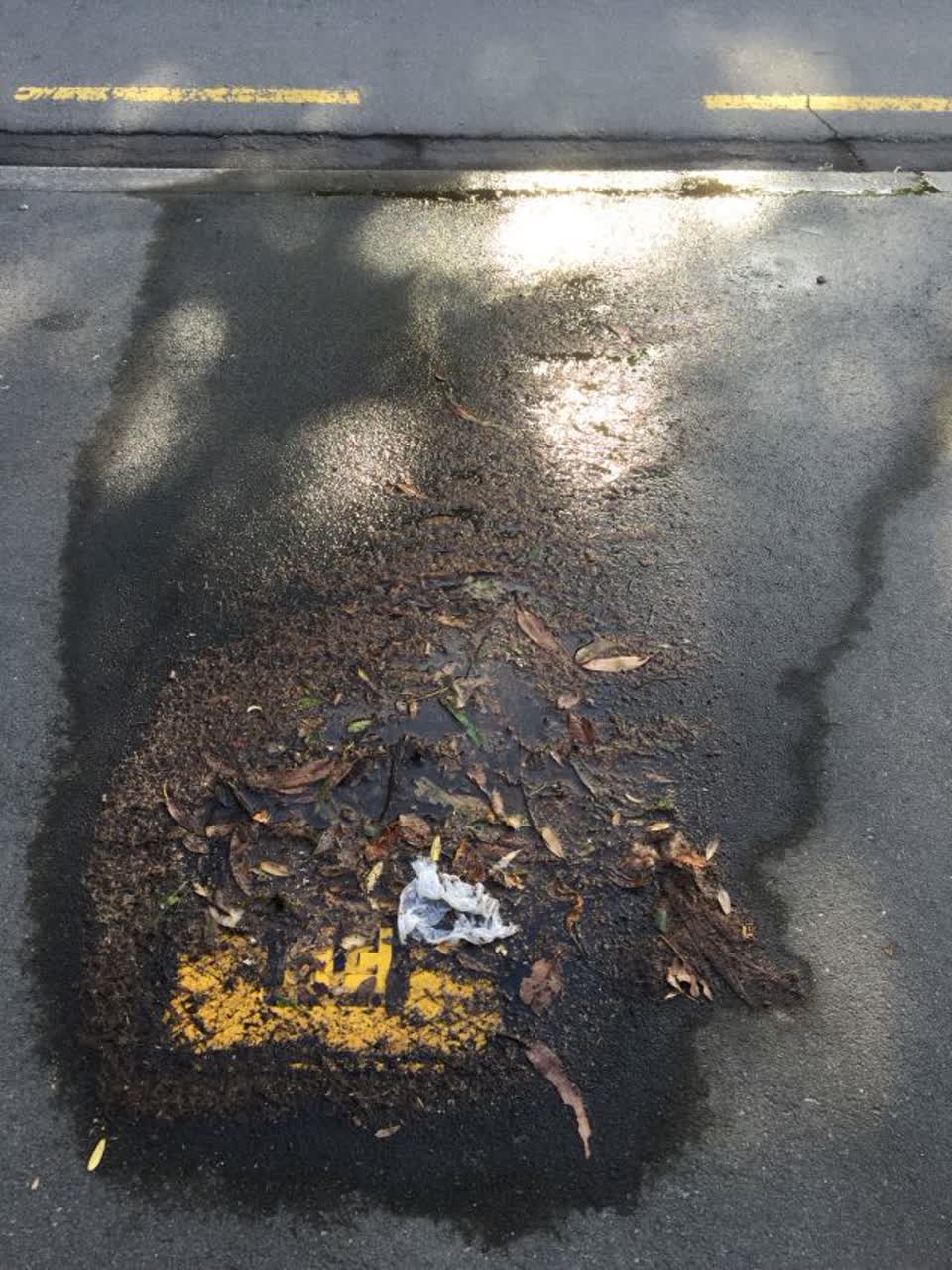 The photograph attached to this water supply report