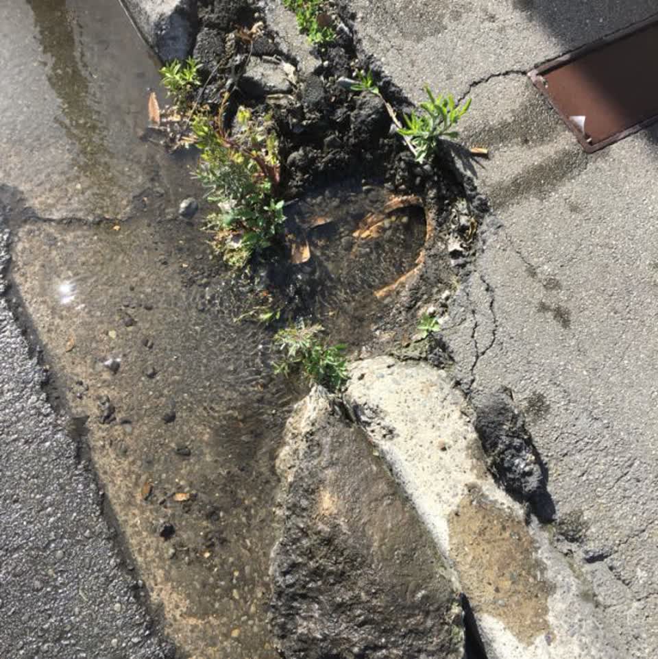 The photograph attached to this flooding report