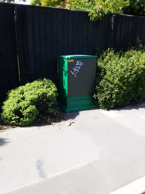 Graffiti, a report photo
