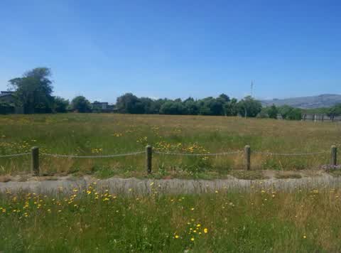 Parks, a report photo