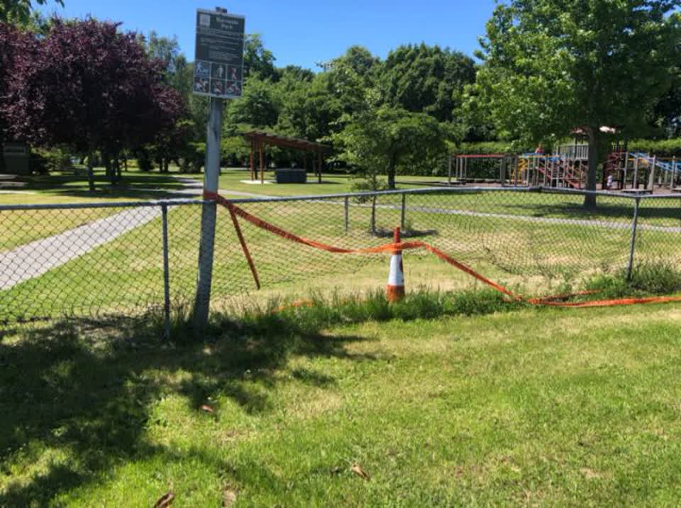 The photograph attached to this parks report
