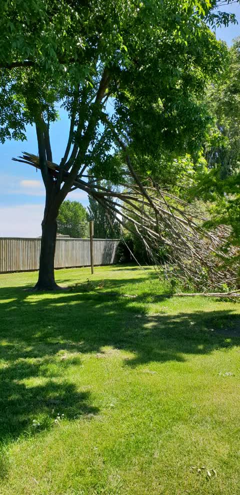Parks, a report photo