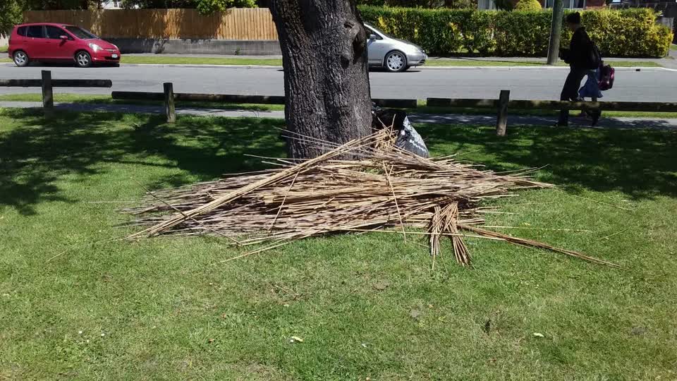 The photograph attached to this parks report