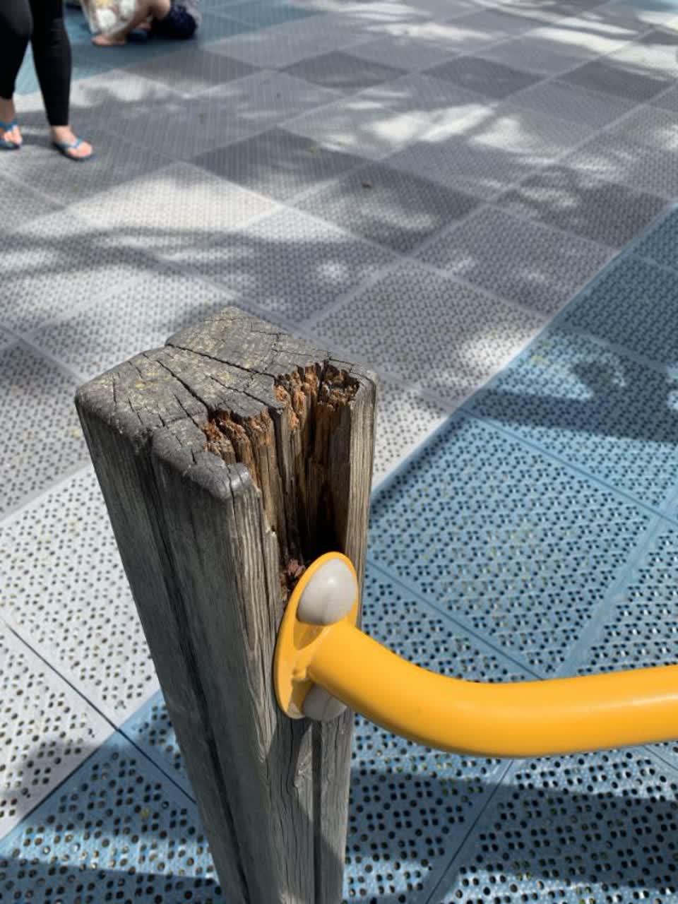 The photograph attached to this parks report