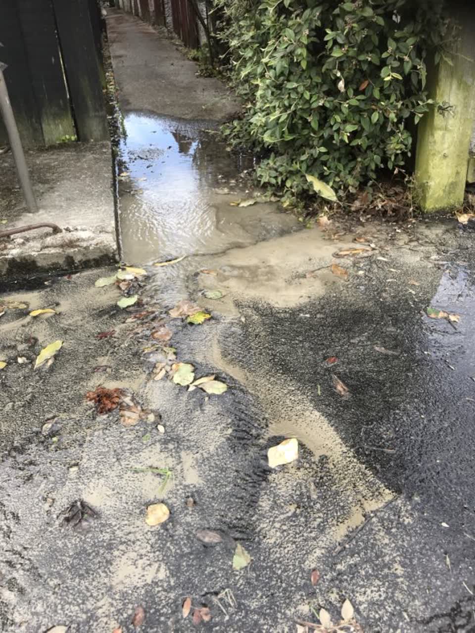 The photograph attached to this water supply report