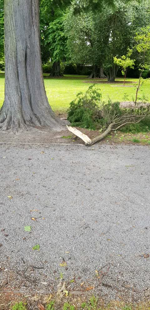 Parks, a report photo