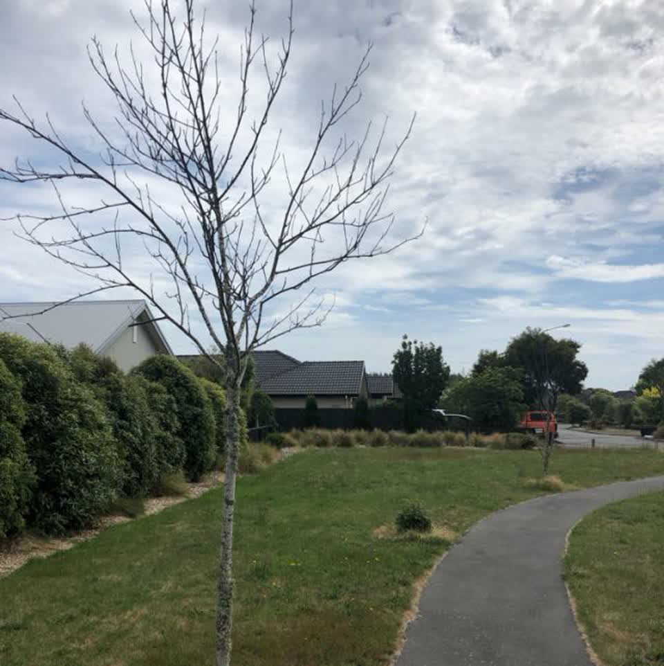 The photograph attached to this parks report