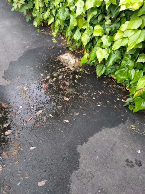 Water Supply, a report photo