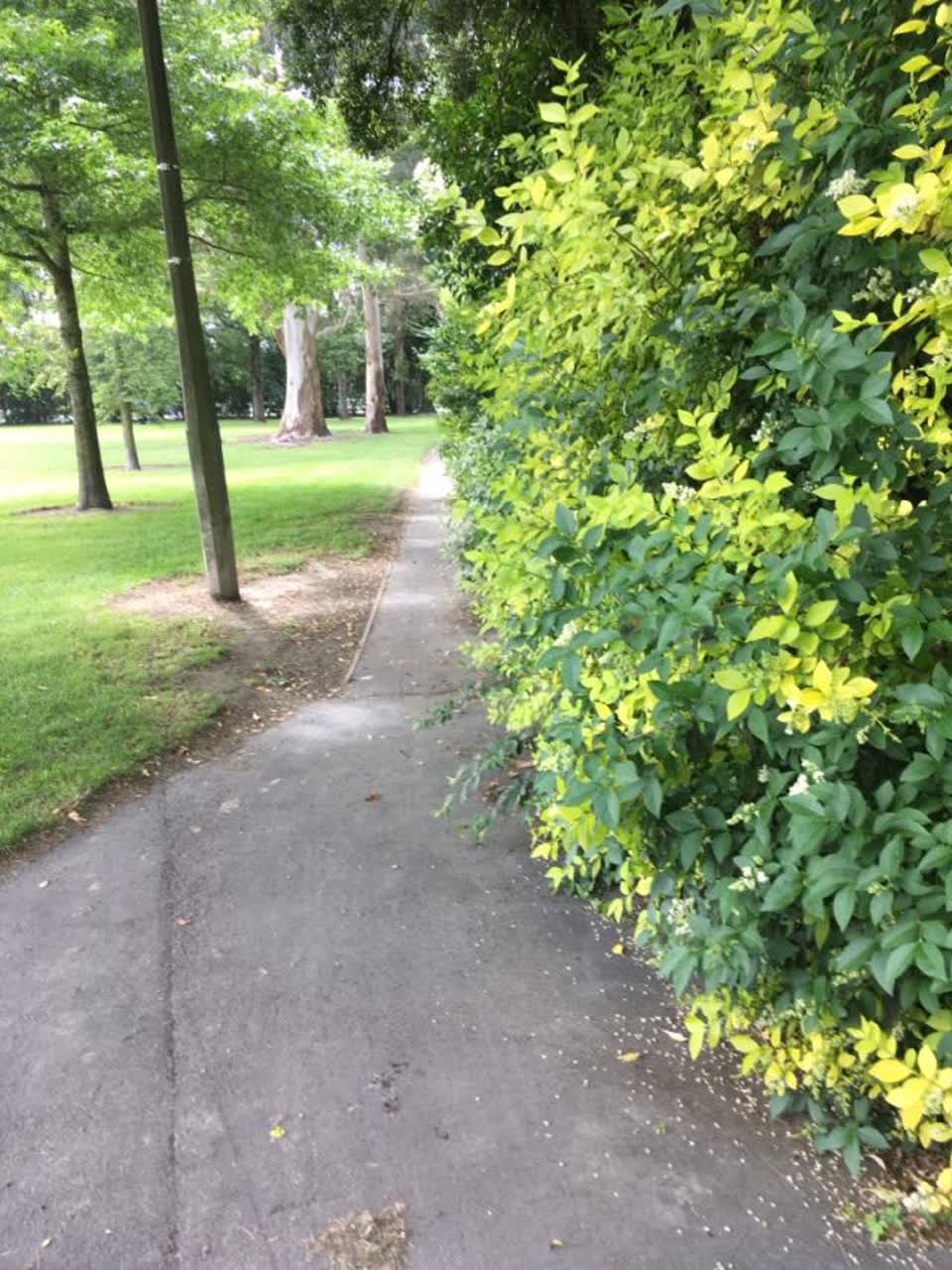 The photograph attached to this parks report
