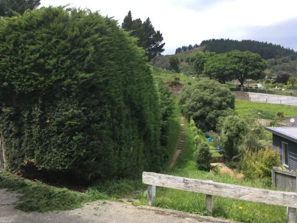 The photograph attached to this parks report