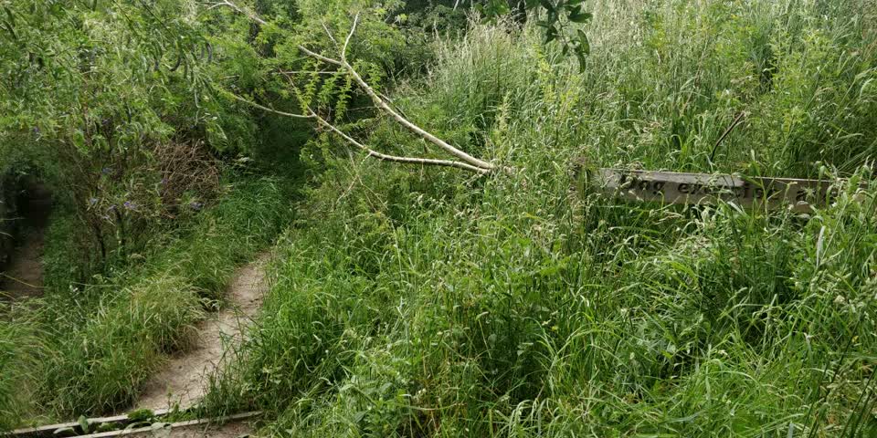 The photograph attached to this parks report