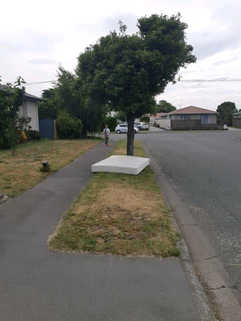 Rubbish/Recycling, a report photo