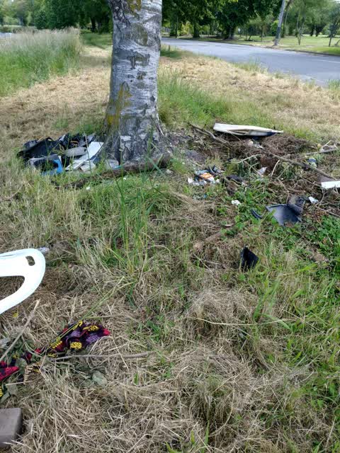 Rubbish/Recycling — a report photo