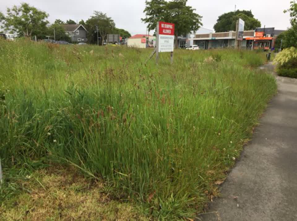 The photograph attached to this parks report