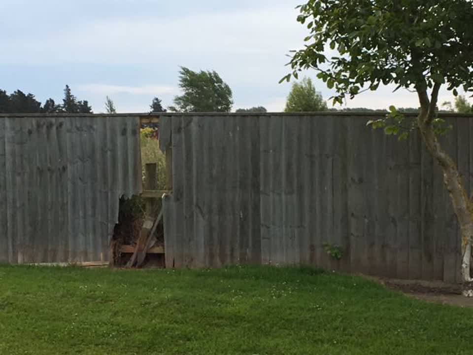 The photograph attached to this parks report