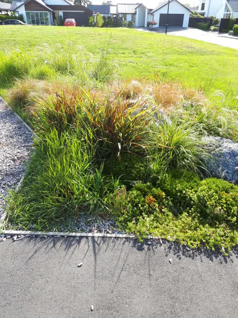 Parks, a report photo