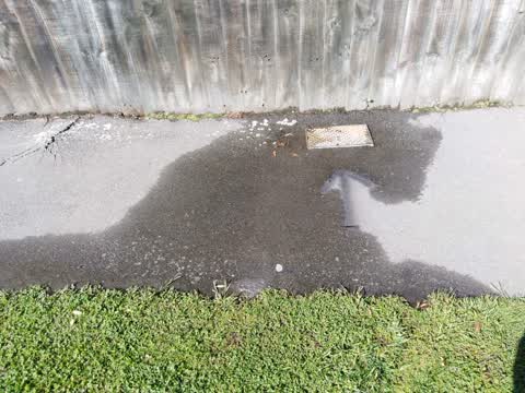Water Supply, a report photo