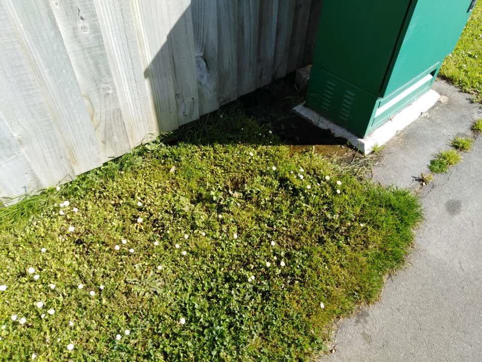The photograph attached to this water supply report