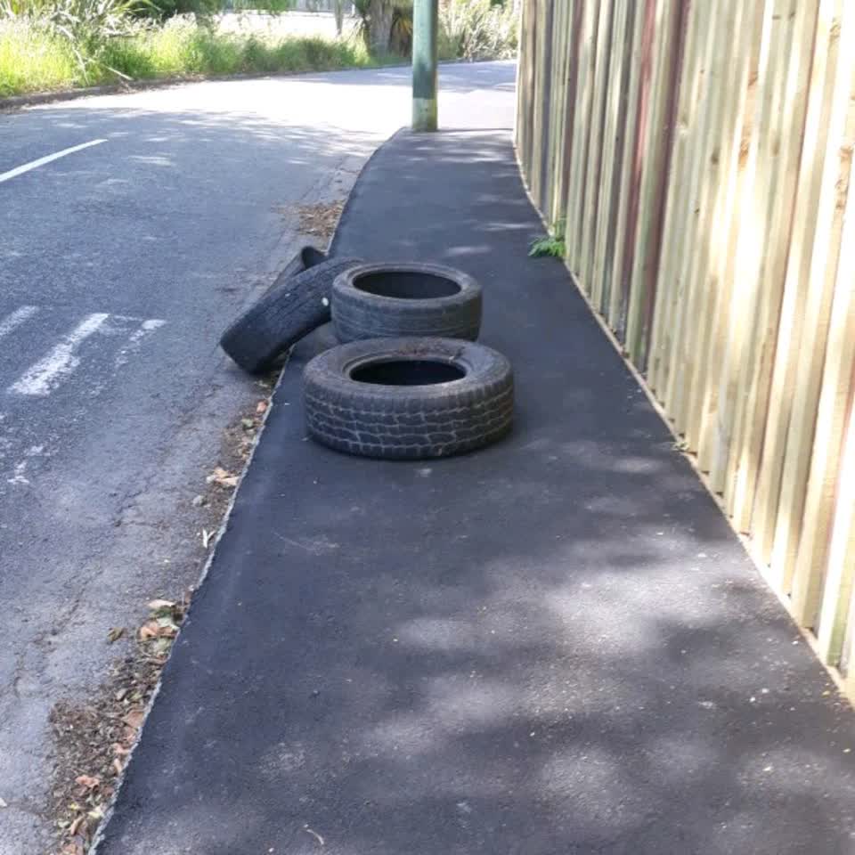 The photograph attached to this rubbish/recycling report