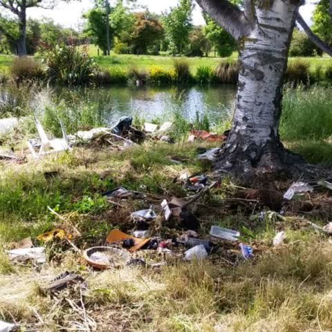 Rubbish/Recycling, a report photo
