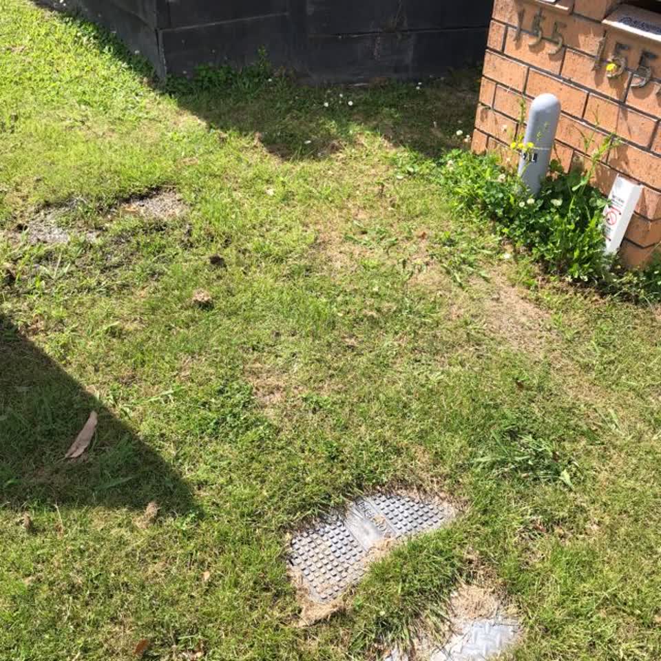 The photograph attached to this water supply report