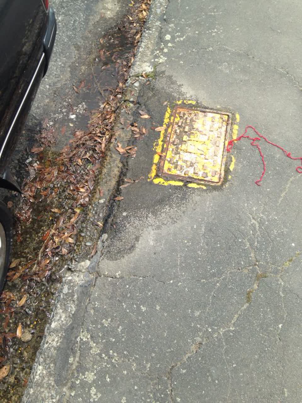 The photograph attached to this water supply report