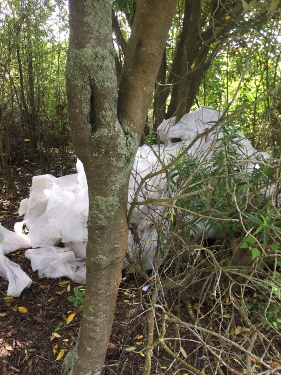 The photograph attached to this rubbish/recycling report