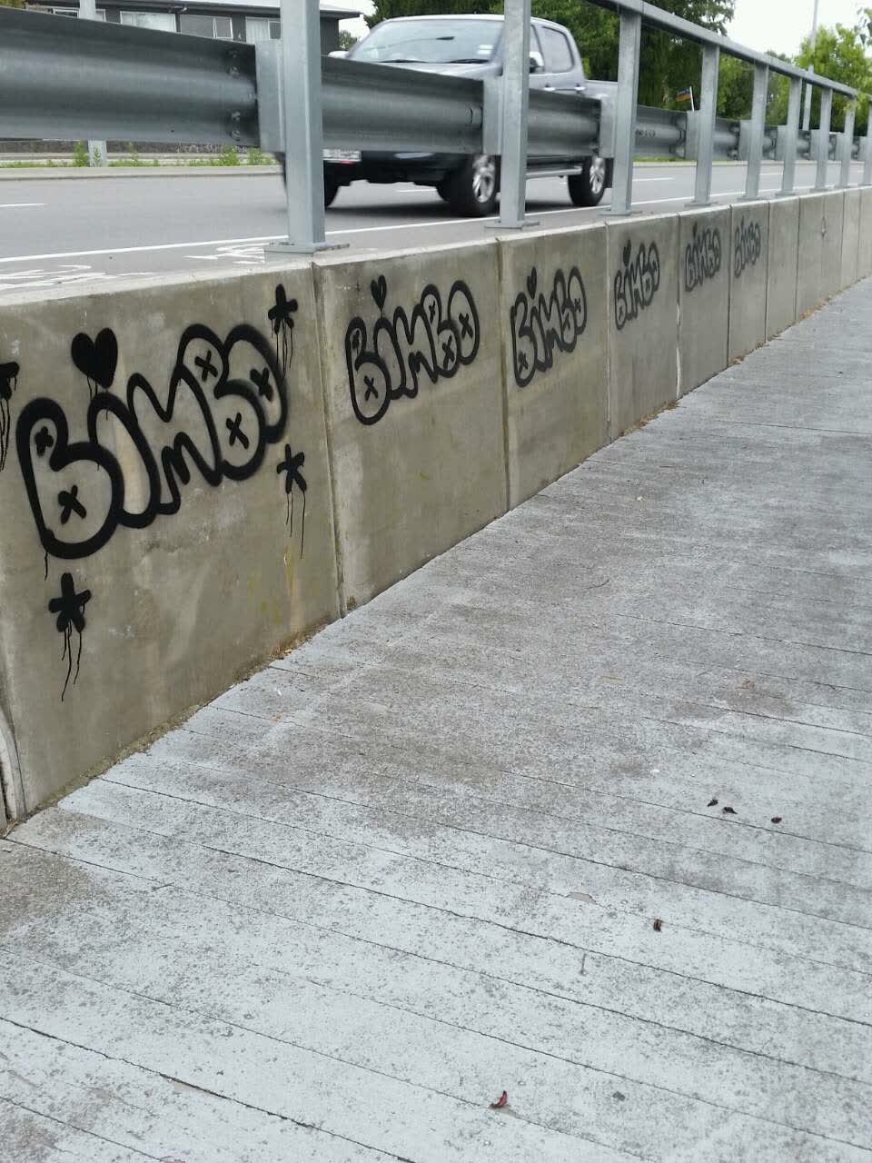 The photograph attached to this graffiti report